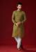 Picture of Radiant Cotton Dark Olive Green Kurtas