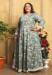 Picture of Nice Rayon Grey Readymade Gown