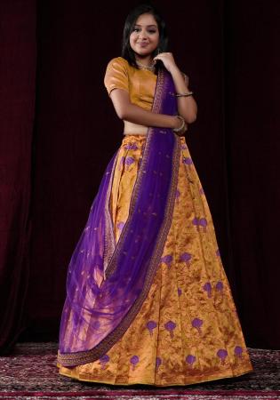 Picture of Lovely Silk Peru Lehenga Choli