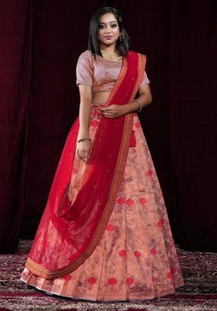 Picture of Shapely Silk Indian Red Lehenga Choli