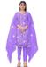 Picture of Organza Medium Slate Blue Straight Cut Salwar Kameez