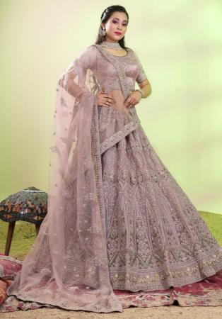 Picture of Radiant Net Rosy Brown Lehenga Choli