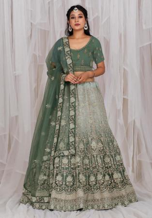 Picture of Alluring Net Grey Lehenga Choli