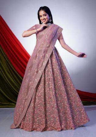 Picture of Fascinating Net Sienna Lehenga Choli