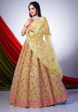 Picture of Excellent Net Khaki Lehenga Choli