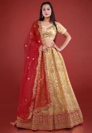 Picture of Radiant Net Tan Lehenga Choli