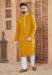 Picture of Beautiful Cotton Golden Rod Kurtas