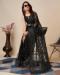 Picture of Shapely Net Black Saree