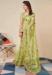 Picture of Fascinating Net Tan Saree