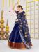 Picture of Radiant Georgette Midnight Blue Lehenga Choli