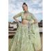 Picture of Beauteous Net Rosy Brown Lehenga Choli