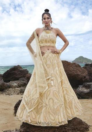 Picture of Appealing Net Tan Lehenga Choli