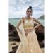 Picture of Appealing Net Tan Lehenga Choli