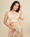 Picture of Appealing Net Beige Saree