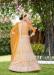 Picture of Admirable Net Sandy Brown Lehenga Choli