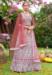 Picture of Statuesque Net Sienna Lehenga Choli