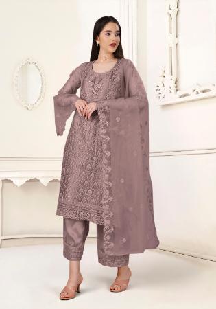 Picture of Fine Net Dim Gray Straight Cut Salwar Kameez