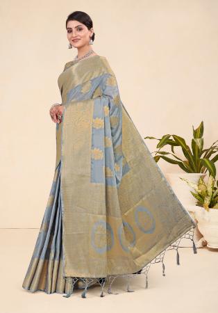 Picture of Charming Chiffon Light Slate Grey Saree