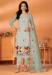 Picture of Pleasing Silk Silver Straight Cut Salwar Kameez