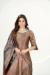 Picture of Nice Silk Dark Khaki Straight Cut Salwar Kameez