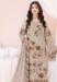 Picture of Shapely Georgette Beige Straight Cut Salwar Kameez