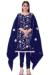 Picture of Organza Midnight Blue Straight Cut Salwar Kameez