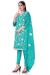 Picture of Organza Light Sea Green Straight Cut Salwar Kameez