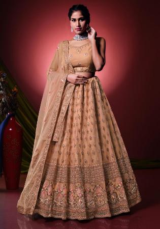 Picture of Wonderful Net Burly Wood Lehenga Choli