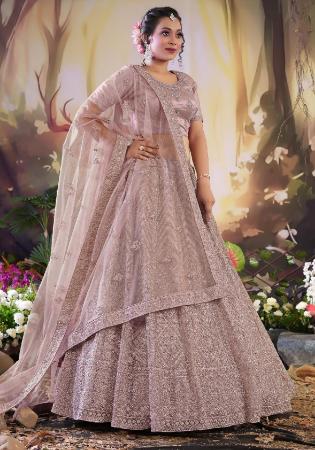 Picture of Nice Net Grey Lehenga Choli