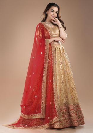 Picture of Ideal Net Burly Wood Lehenga Choli