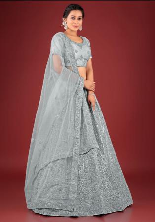 Picture of Exquisite Net Light Slate Grey Lehenga Choli