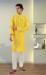 Picture of Charming Cotton & Silk Golden Rod Kurtas