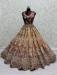 Picture of Pretty Chiffon Tan Lehenga Choli