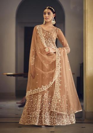 Picture of Magnificent Net Sienna Anarkali Salwar Kameez