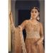 Picture of Magnificent Net Sienna Anarkali Salwar Kameez