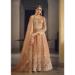 Picture of Magnificent Net Sienna Anarkali Salwar Kameez