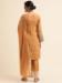 Picture of Well Formed Georgette Peru Straight Cut Salwar Kameez