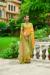 Picture of Radiant Silk Golden Rod Saree