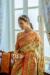 Picture of Grand Silk Tan Saree