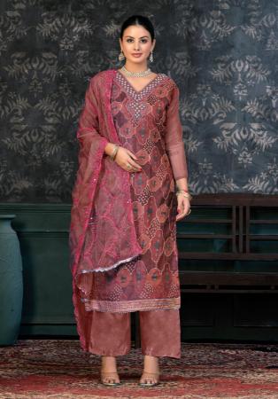 Picture of Net & Satin Sienna Straight Cut Salwar Kameez