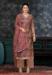 Picture of Net & Satin Sienna Straight Cut Salwar Kameez