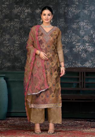 Picture of Net & Satin Sienna Straight Cut Salwar Kameez