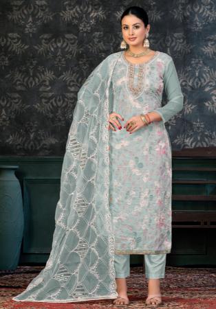 Picture of Organza Dark Slate Grey Straight Cut Salwar Kameez