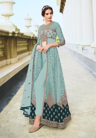 Picture of Net Light Slate Grey Straight Cut Salwar Kameez