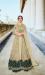 Picture of Amazing Net Tan Straight Cut Salwar Kameez