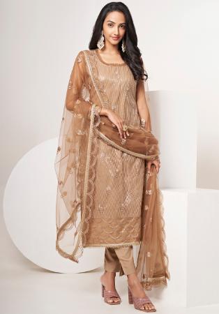 Picture of Magnificent Net Tan Straight Cut Salwar Kameez