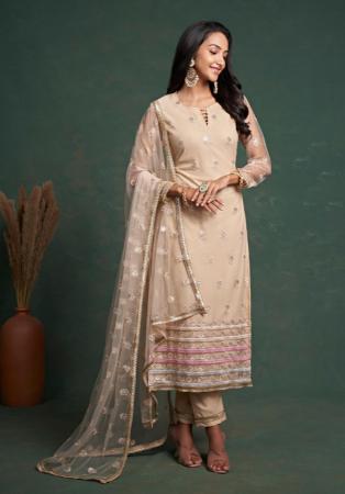 Picture of Beautiful Net Beige Straight Cut Salwar Kameez