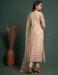 Picture of Beautiful Net Beige Straight Cut Salwar Kameez