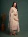 Picture of Beautiful Net Beige Straight Cut Salwar Kameez