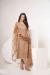 Picture of Elegant Net Tan Straight Cut Salwar Kameez